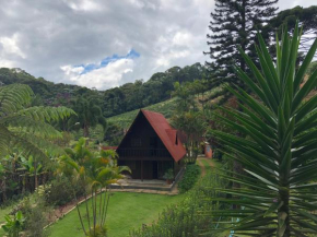 Hotels in Tapera